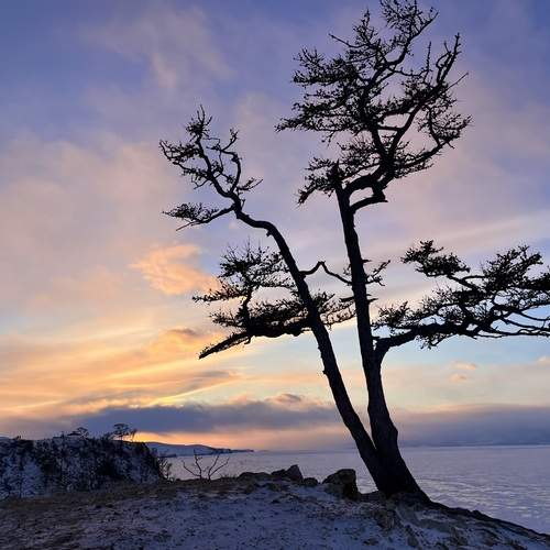 Photo #13495497