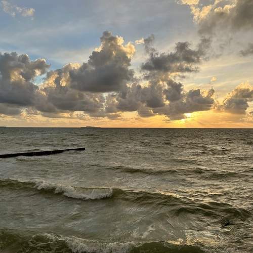 Photo #13495499