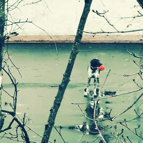Photo #13495573