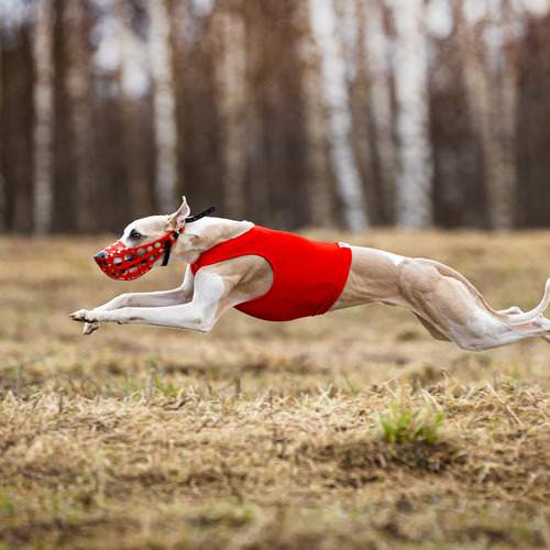 Photo #13495671