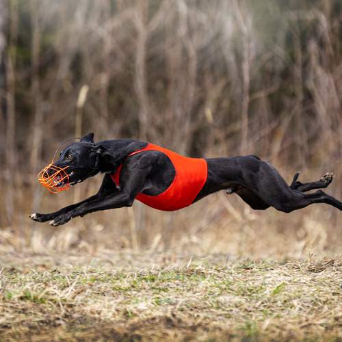 Photo #13495672
