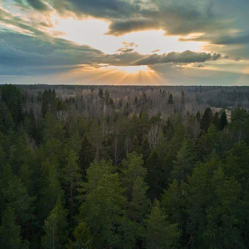 Photo #13495707