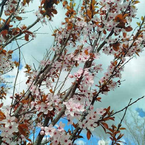 Photo #13495712