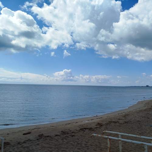Photo #13495715