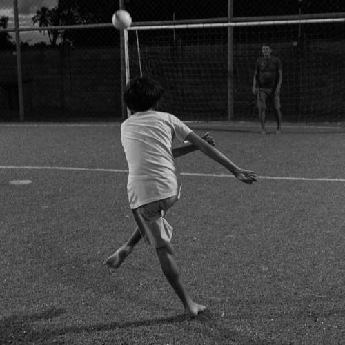 Photo #13495730