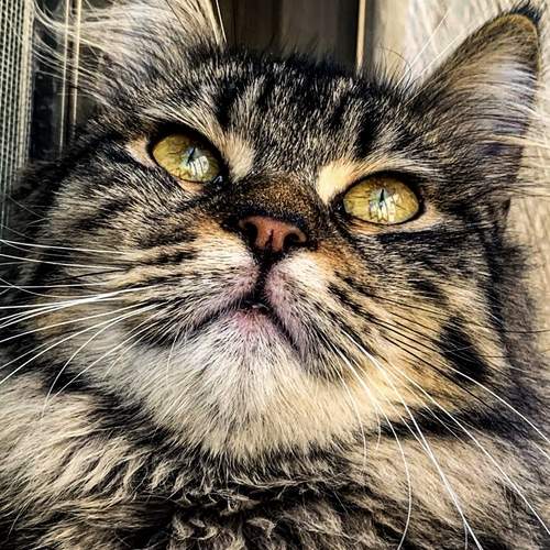 Photo #13495766