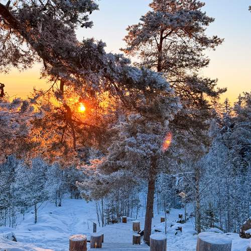 Photo #13495798