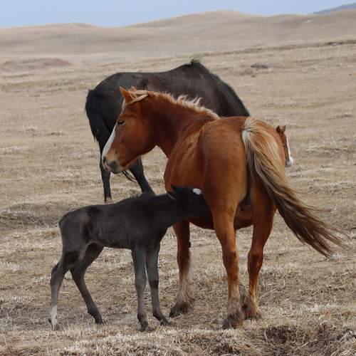 Photo #13495836