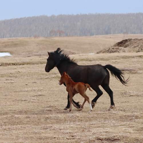 Photo #13495837