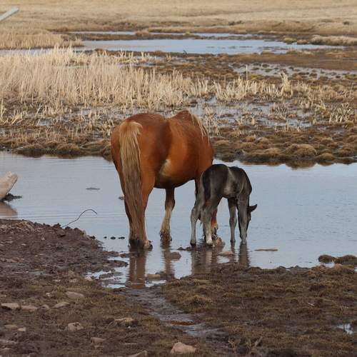Photo #13495839