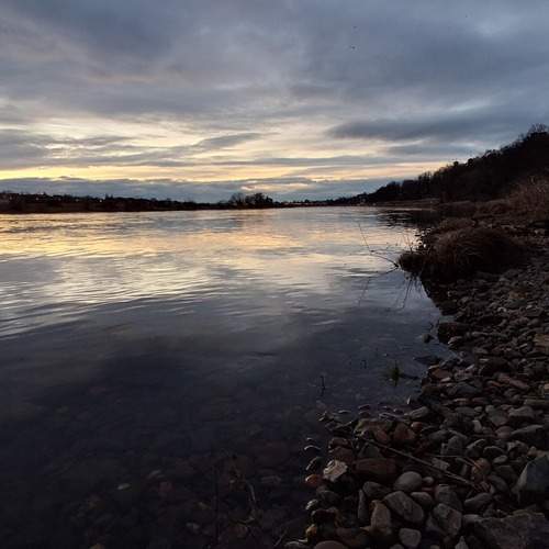 Photo #13495880