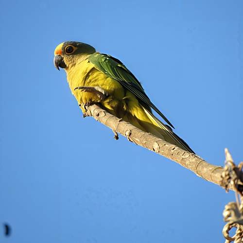 Photo #13496017