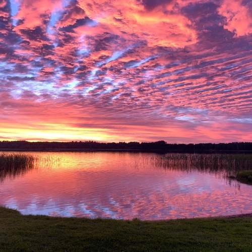 Photo #13496025