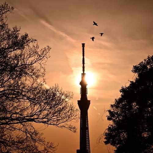 Into the Twilight
