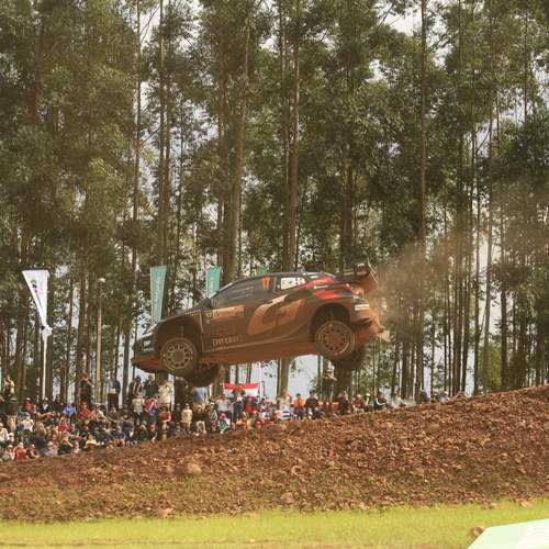 Photo #13496255