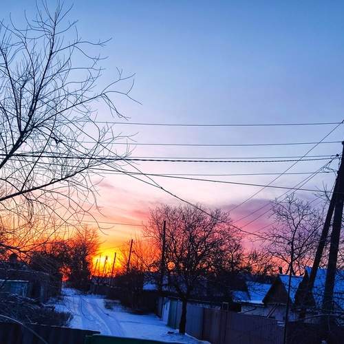 Photo #13496289