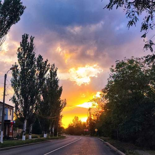 Photo #13496290