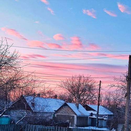 Photo #13496291