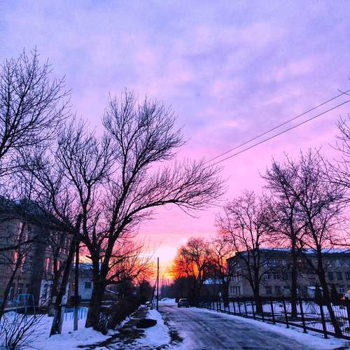 Photo #13496292