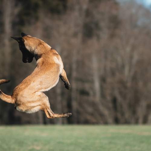 Photo #13496309