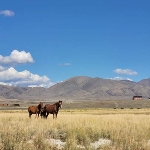 Photo #13496320