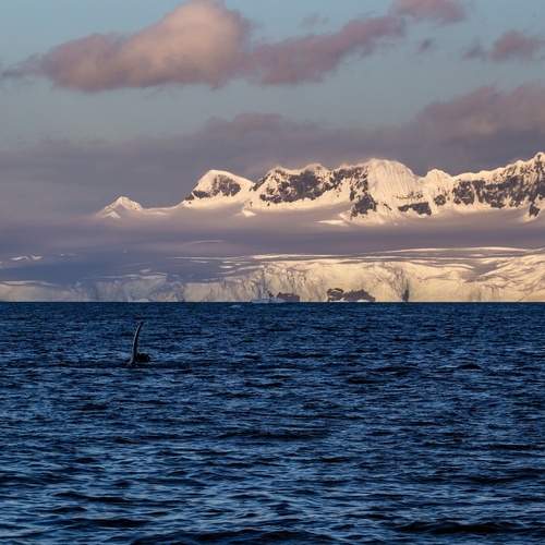 Photo #13496369