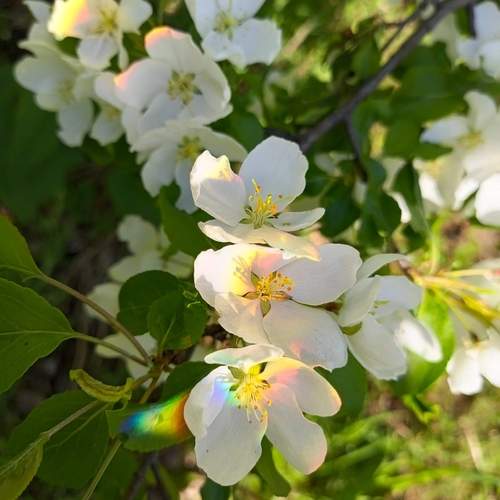 Photo #13496450