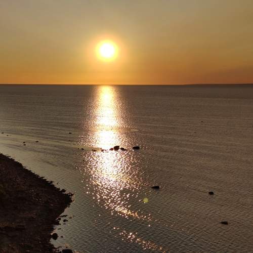 Photo #13496662