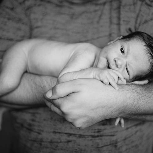 Photo #13496699