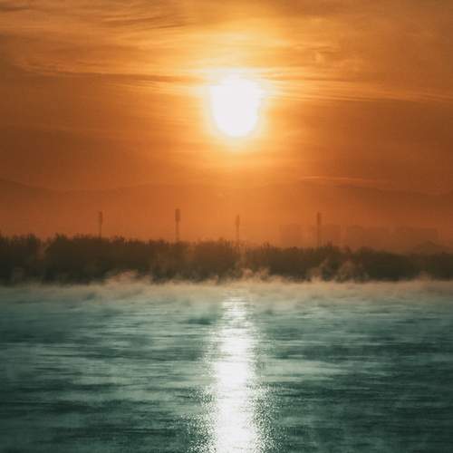 Photo #13496732