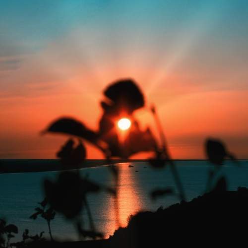 Photo #13496743