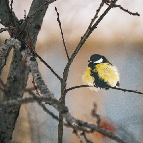 Photo #13496797