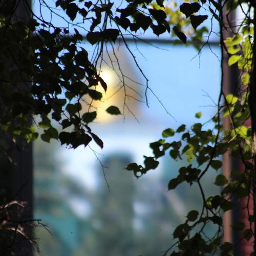 Photo #13497052