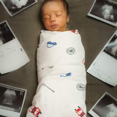 Photo #13497223