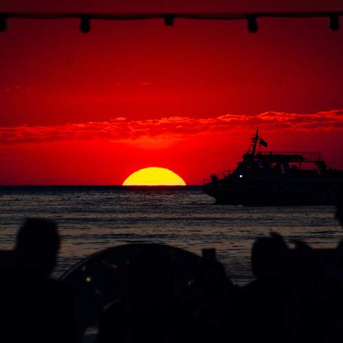 Photo #13497241