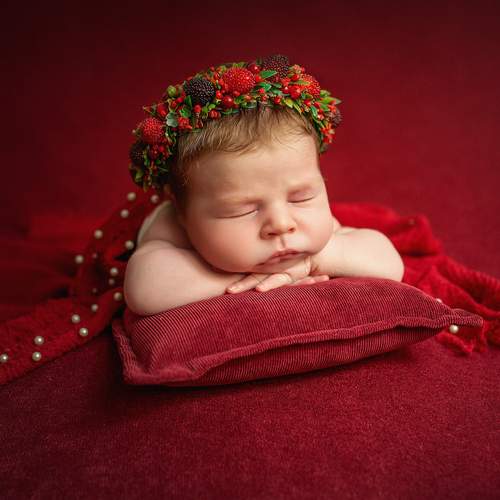 Photo #13497245
