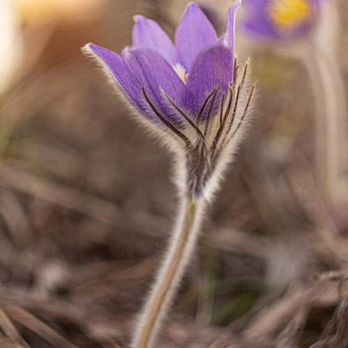 Photo #13497253