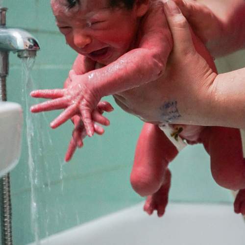Photo #13497277
