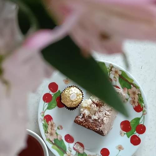 Photo #13497310