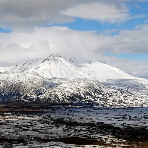 Photo #13497312