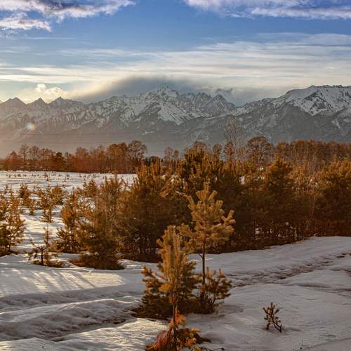 Photo #13497383