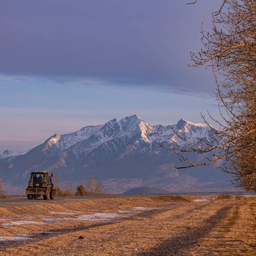 Photo #13497422