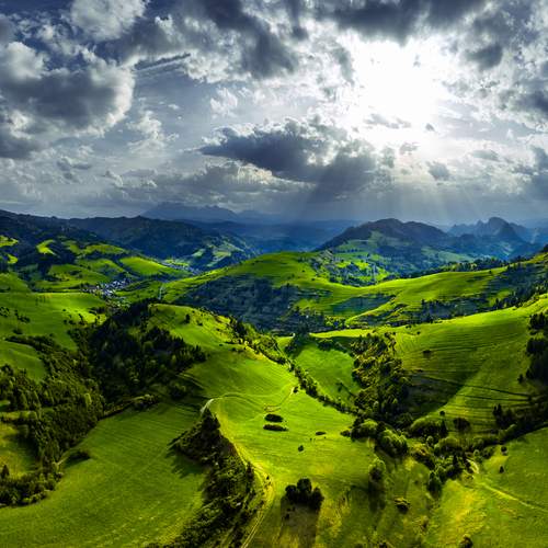 Photo #13497997