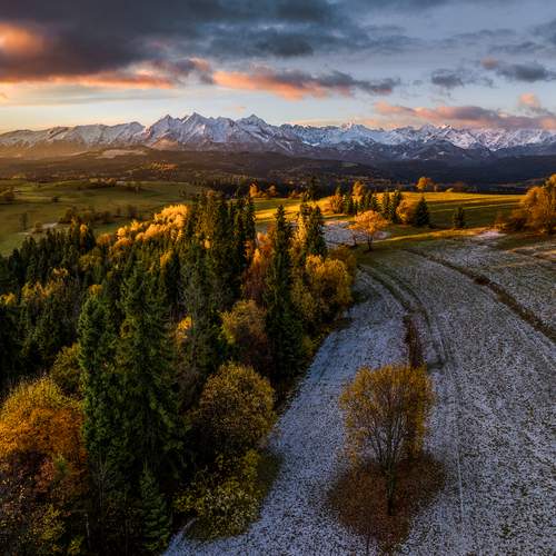 Photo #13497999