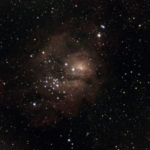 Photo #13498032