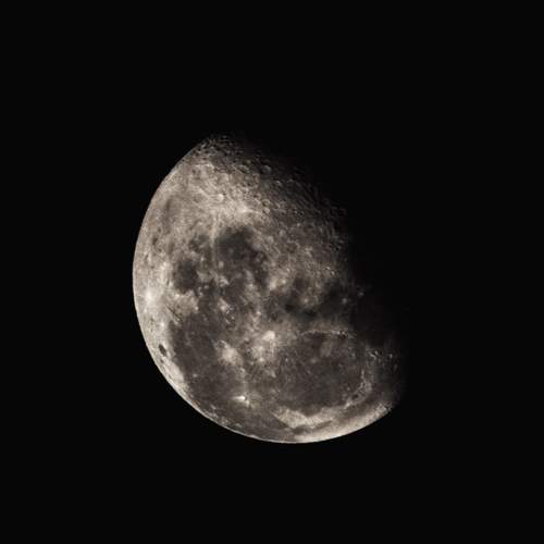 Photo #13498036