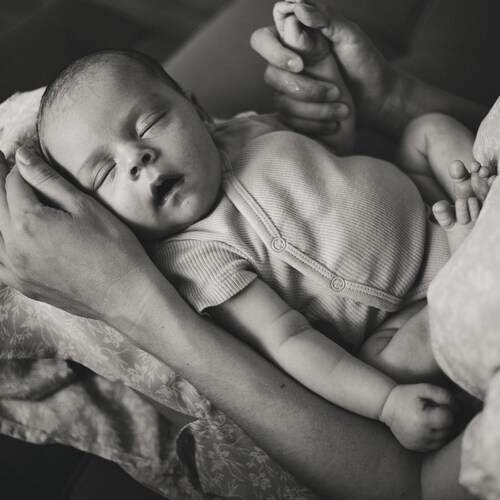 Photo #13498105