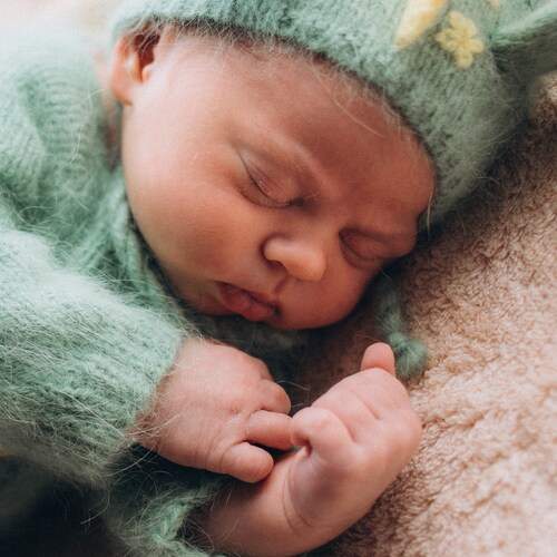 Photo #13498116