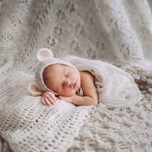 Photo #13498139