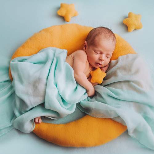 Photo #13498146